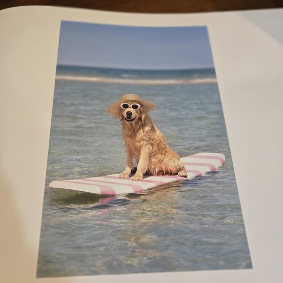 Gray Malin: Dogs: Photographs | EUC Coffee Table Book Canine Photography - Picture 10 of 12